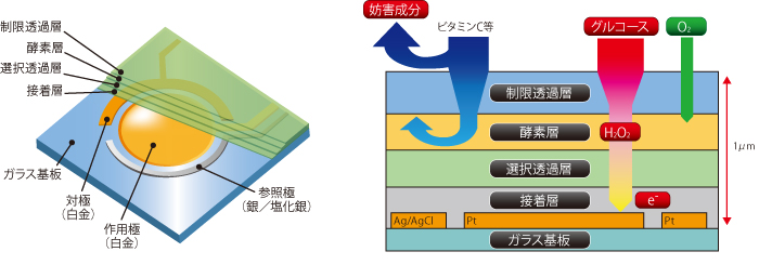 ^j^@|[^uOR[Xv@GF-501